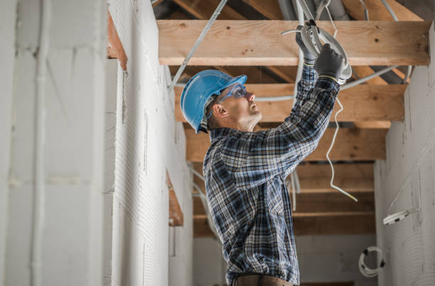 Best Electrical Repair Services  in Carlyle, IL